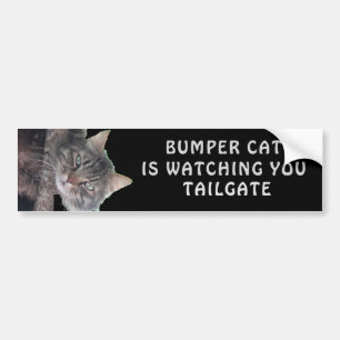 Bumper Cat beobachtet TAILGATE 45 Autoaufkleber