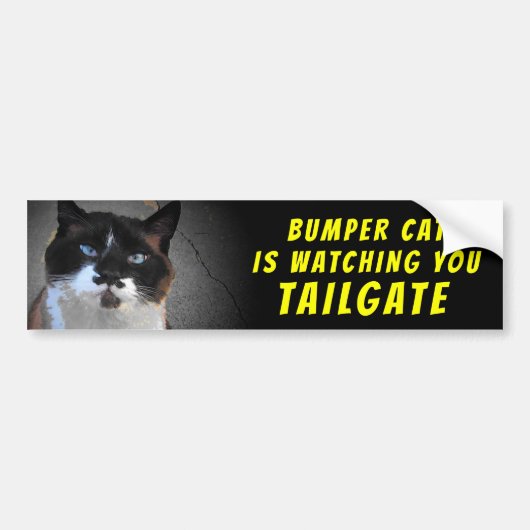 Bumper Cat beobachtet TAILGATE 46 Autoaufkleber (Vorne)
