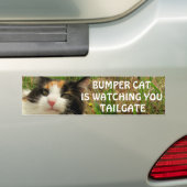 Bumper Cat beobachtet TAILGATE 8 Autoaufkleber (Auf Auto)