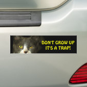 Bumper Cat sagt, erwachsen nicht Meme Autoaufkleber (Auf Auto)