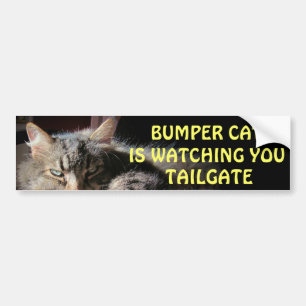 Bumper Cat schaut TAILGATE 15 Autoaufkleber