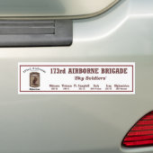 Bumper.Sticker - 173. im Flugzeug Brigade Autoaufkleber (Auf Auto)