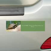 Bumper Sticker with Slow Moving Turtle Autoaufkleber (Auf Auto)