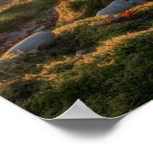 Bumpy Path Poster (Ecke)