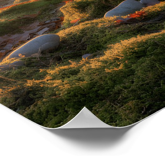 Bumpy Path Poster (Ecke)