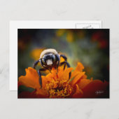 Bunble Bee Postkarte (Vorne/Hinten)