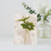 Bunch Berry - Wild Dogwood Postcard Postkarte (Stehend Vorderseite)