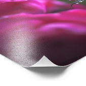 Bunch of Pink Roses (Landscape) Fotodruck (Ecke)