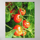 Bunch of Tomatoes Poster (Vorne)