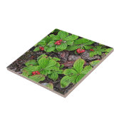 Bunchbeere mit Beeren Fliese (Seite)