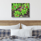 Bunchbeere mit Beeren Leinwanddruck (Insitu (Schlafzimmer))
