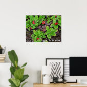 Bunchbeere mit Beeren Poster (Heimbüro)