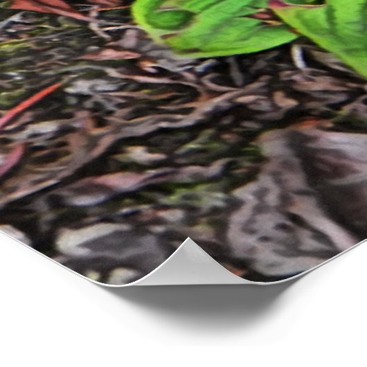 Bunchbeere mit Beeren Poster (Ecke)