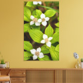 Bunchberry-Blume Leinwanddruck (Insitu (Wohnzimmer))