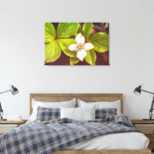 Bunchberry Leinwanddruck (Insitu (Schlafzimmer))