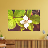 Bunchberry Leinwanddruck (Insitu (Wohnzimmer))