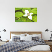 Bunchberry Leinwanddruck (Insitu (Schlafzimmer))