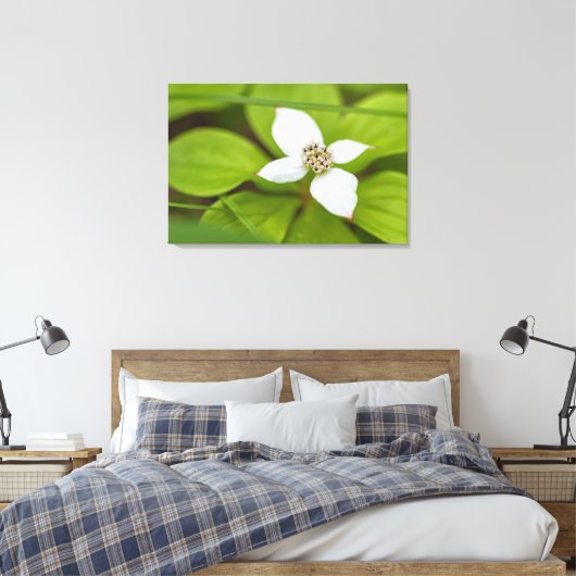 Bunchberry Leinwanddruck (Insitu (Schlafzimmer))