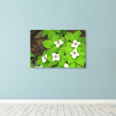 Bunchberry Leinwanddruck (Insitu (Holzboden))