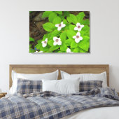 Bunchberry Leinwanddruck (Insitu (Schlafzimmer))