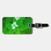 Bunchberry White Wildblume Abstrakt Gepäckanhänger (Vorderseite horizontal)