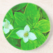 Bunchberry White Wildblume Abstrakt Getränkeuntersetzer (Vorne)