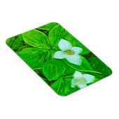 Bunchberry White Wildblume Abstrakt Magnet (Rechte Seite)