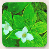 Bunchberry White Wildblume Abstrakt Untersetzer (Vorderseite)