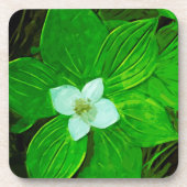 Bunchberry White Wildblume Getränkeuntersetzer (Vorderseite)