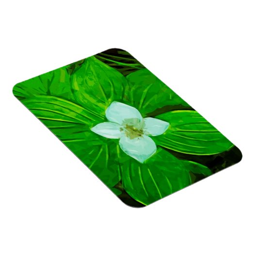 Bunchberry White Wildblume Magnet (Rechte Seite)