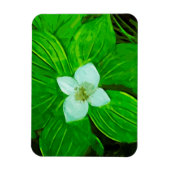 Bunchberry White Wildblume Magnet (Vertikal)