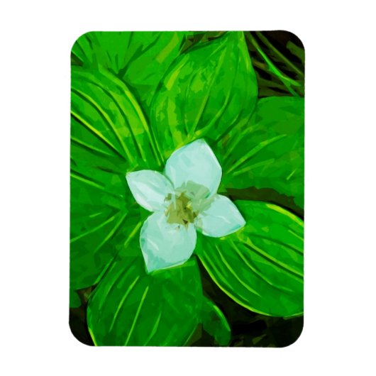 Bunchberry White Wildblume Magnet (Vertikal)