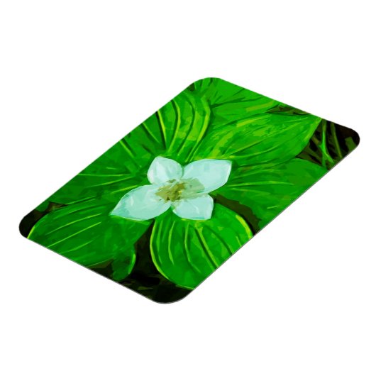 Bunchberry White Wildblume Magnet (Linke Seite)