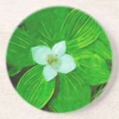 Bunchberry White Wildblume Untersetzer (Vorne)