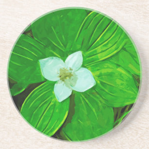 Bunchberry White Wildblume Untersetzer