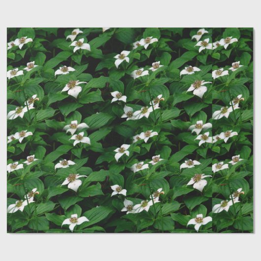 Bunchberry Wildblume Design Geschenkpapier (Flach)