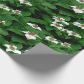 Bunchberry Wildblume Design Geschenkpapier (Ecke)