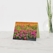 Bunchen rosa Blume - Leere Karte (Vorderseite)