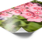 Bunchen und Bunchen Fotodruck (Ecke)