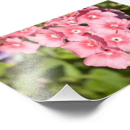 Bunchen und Bunchen Fotodruck (Ecke)