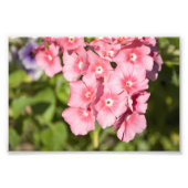 Bunchen und Bunchen Fotodruck (Vorne)