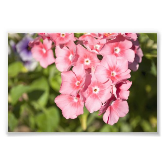 Bunchen und Bunchen Fotodruck (Vorne)