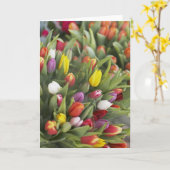 Bunches of colorful tulips karte (Gelbe Blume)