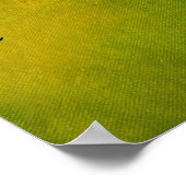 Bündel 0508 poster (Ecke)