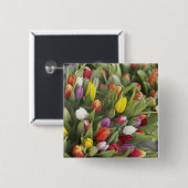 Bündel der bunten Tulpen Button (Vorne & Hinten)