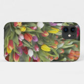 Bündel der bunten Tulpen Case-Mate iPhone Hülle (Rückseite (Horizontal))