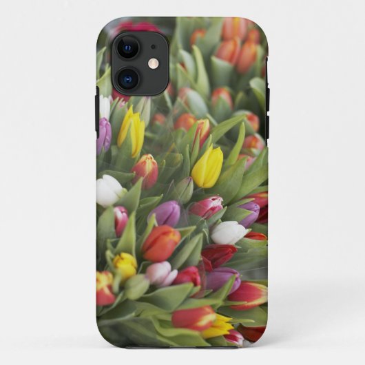 Bündel der bunten Tulpen Case-Mate iPhone Hülle (Rückseite)