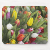 Bündel der bunten Tulpen Mousepad (Vorne)