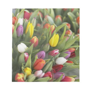 Bündel der bunten Tulpen Notizblock