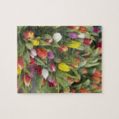 Bündel der bunten Tulpen Puzzle (Horizontal)